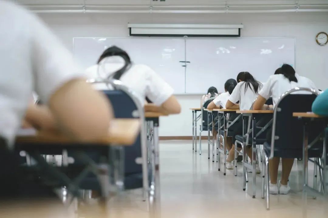 高考后新选择！赴德国带薪学医、拿薪资、稳就业