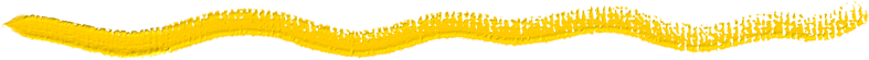 19 19