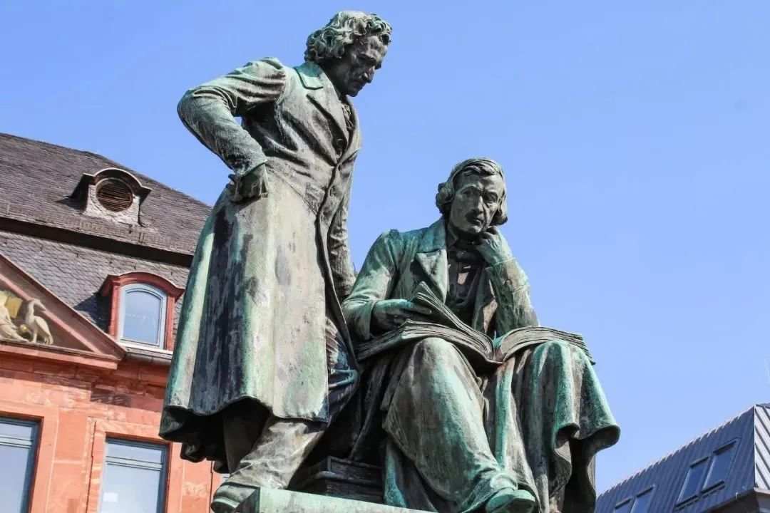 56 56