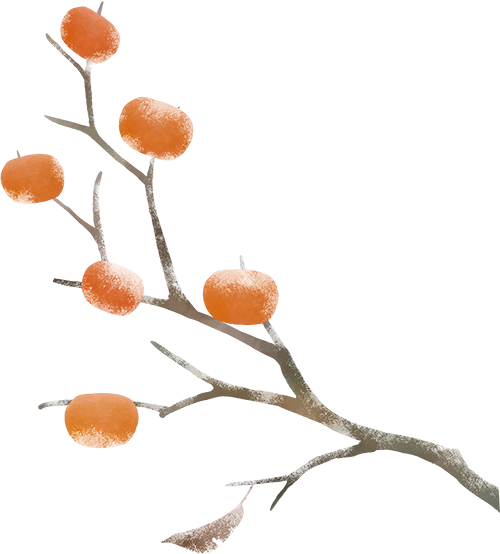 37 37